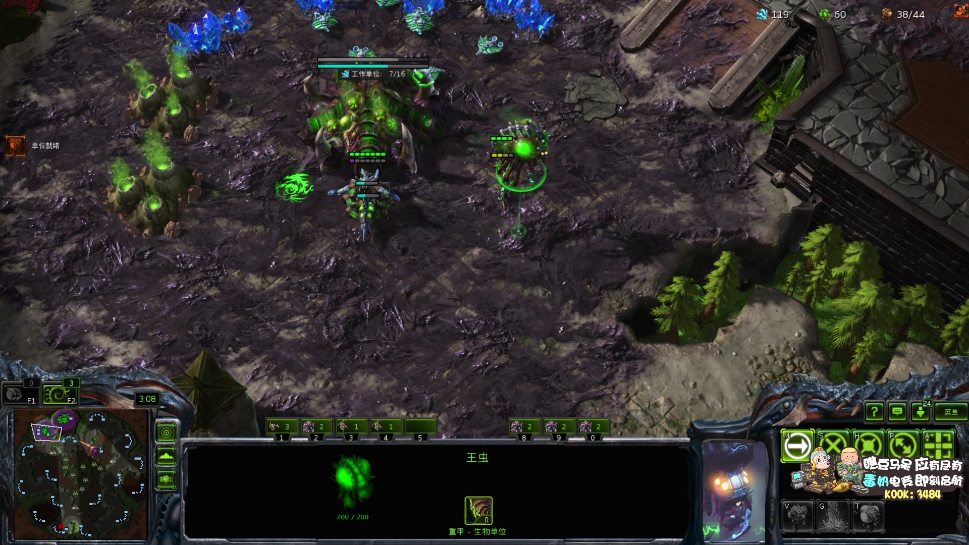 【2025-11-05 19点场】scboy：今晚1v2