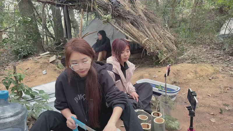 【2025-11-06 13点场】主播阿郎：荒野求生ai版Day3-鸭鸭跑了