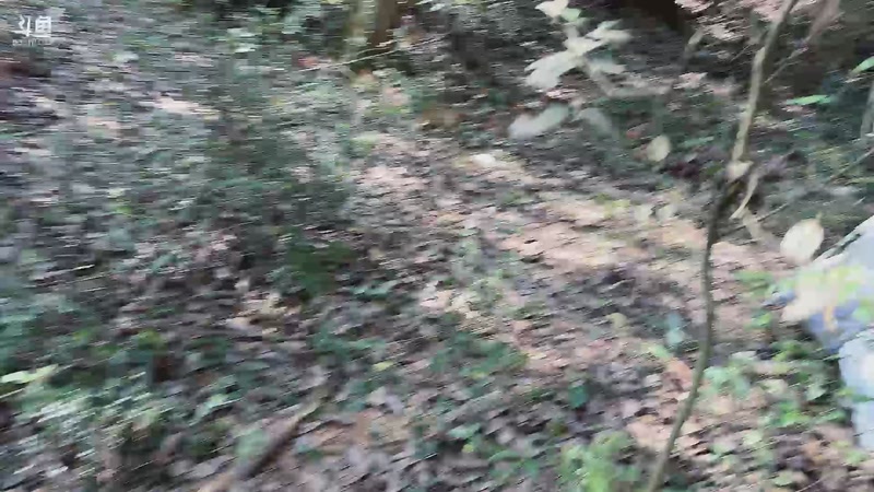 【2025-11-07 10点场】主播阿郎：荒野求生Day4-郎哥倒了