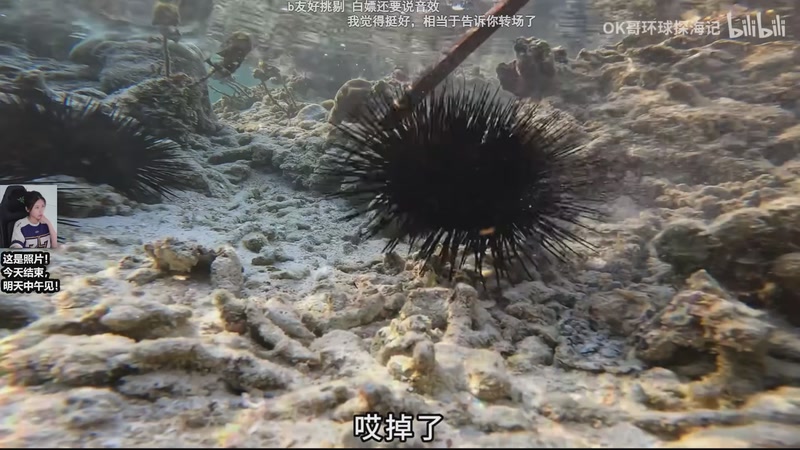 【2025-11-07 00点场】十三三三：周五中午见~