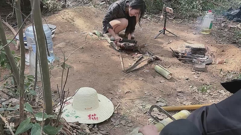 【2025-11-07 12点场】主播阿郎：荒野求生Day4-郎哥倒了