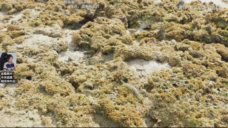 【2025-11-06 22点场】十三三三：周五中午见~