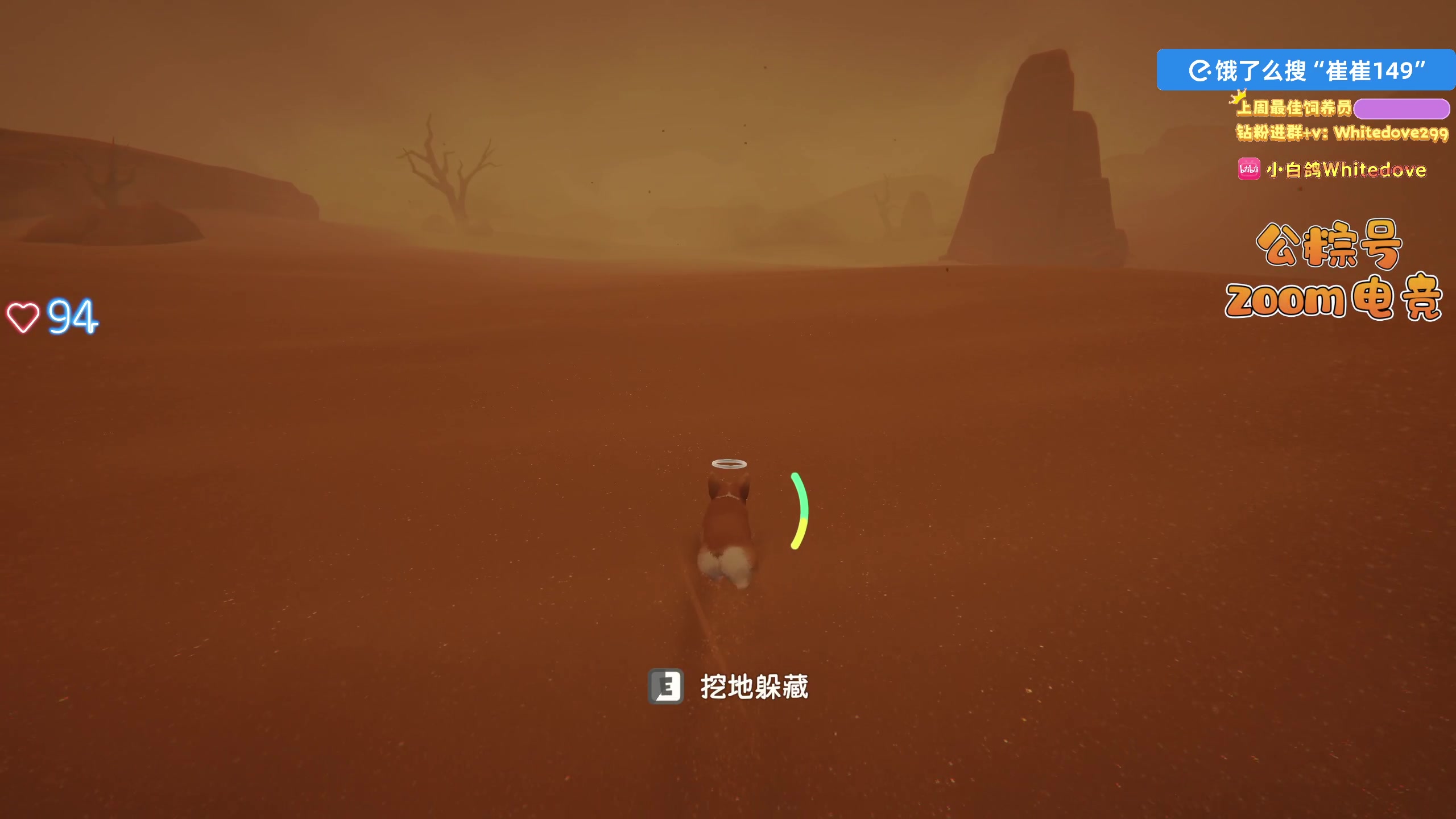 【2025-11-07 17点场】小白鸽WhiteDove：【ZOOM电竞】双倍！