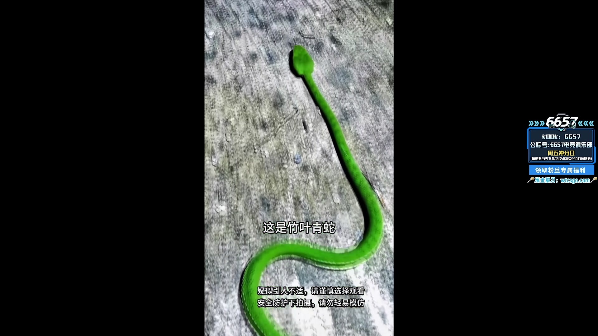 【2025-11-07 16点场】玩机器丶Machine：小众宝藏结晶直播间 IEM成都