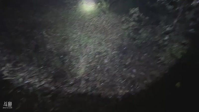 【2025-11-08 00点场】主播阿郎：荒野求生Day5-剩余2人