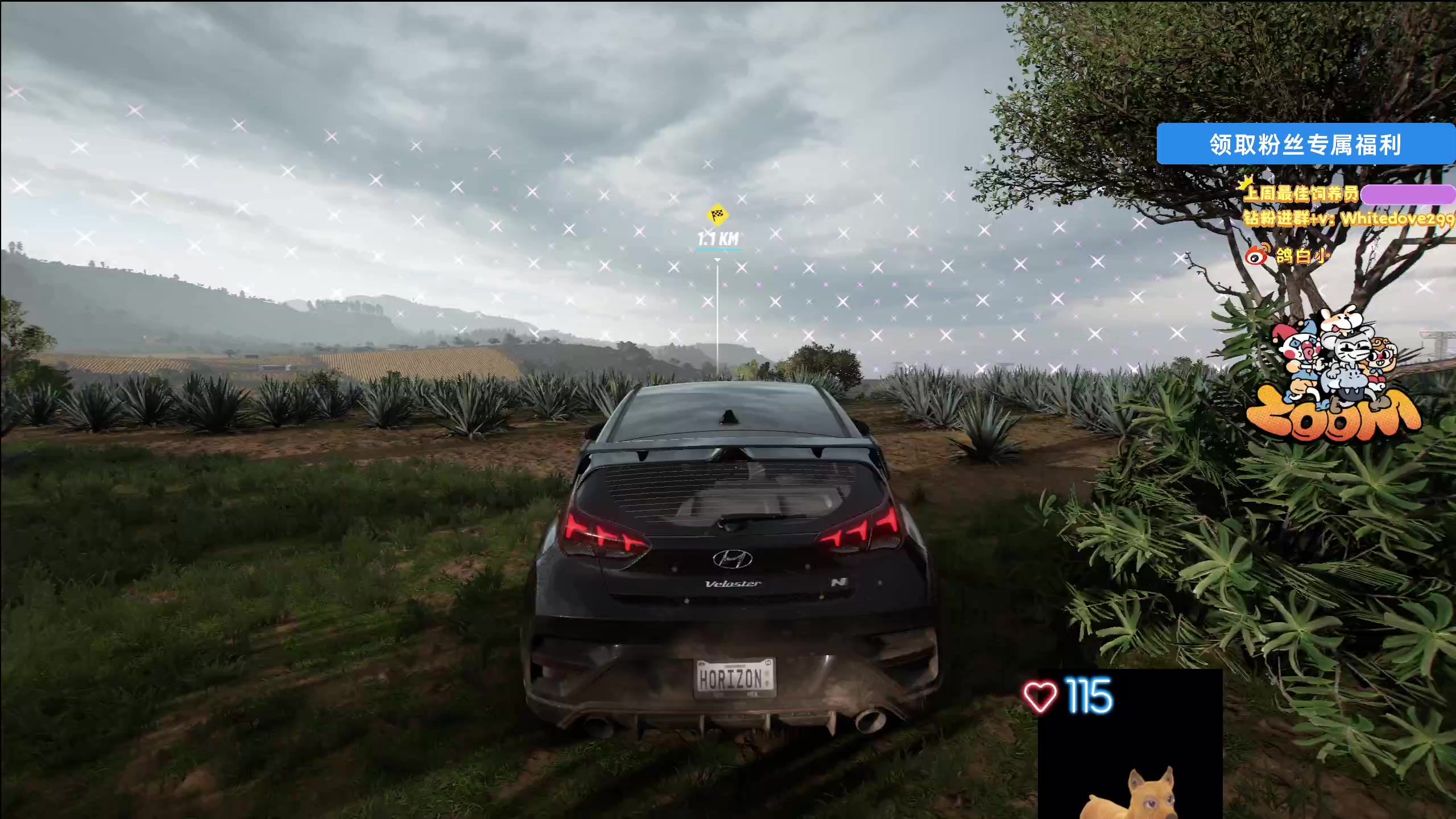 【2025-11-08 01点场】小白鸽WhiteDove：【ZOOM电竞】双倍！