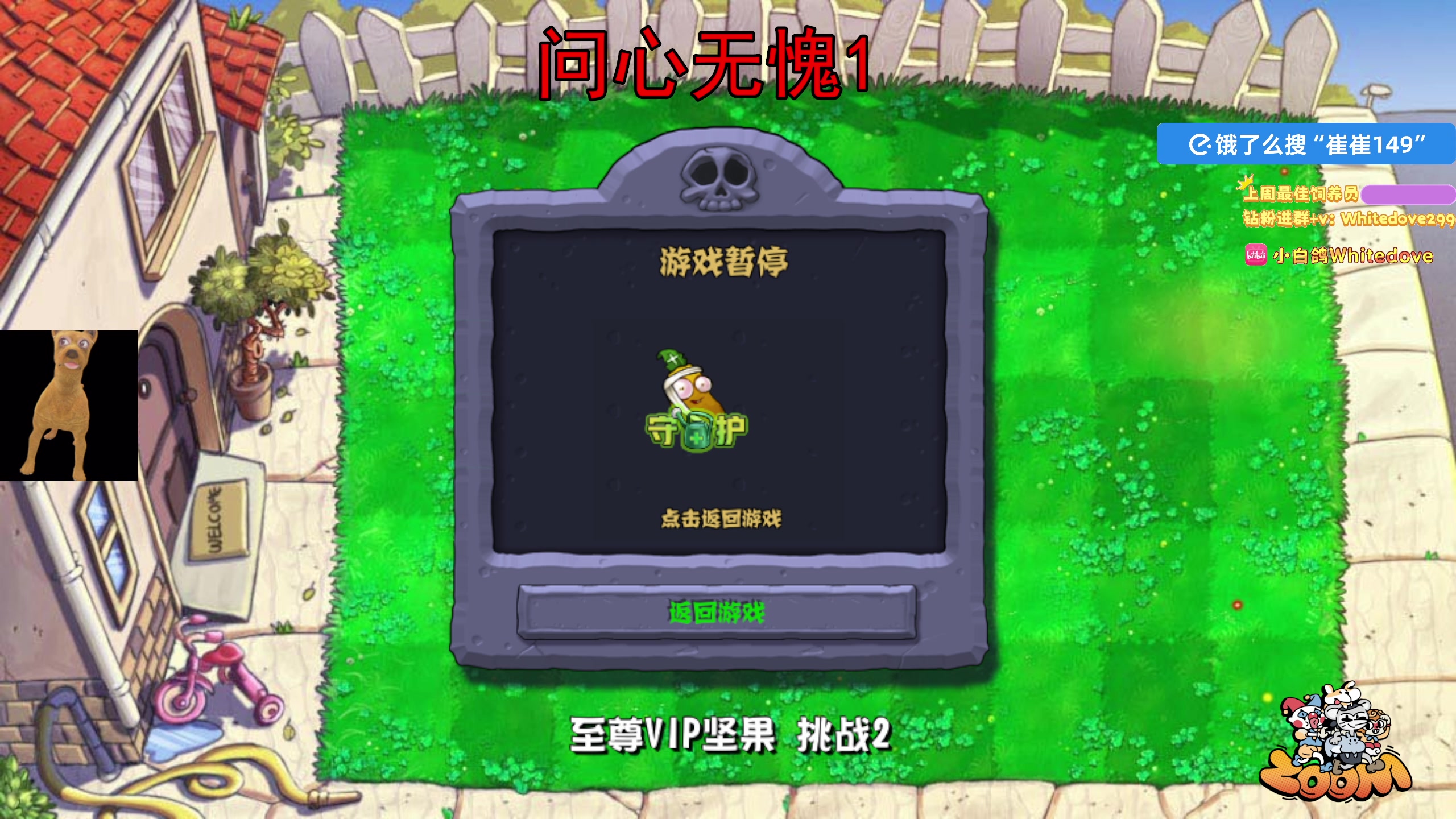 【2025-11-08 17点场】小白鸽WhiteDove：【ZOOM电竞】双倍！