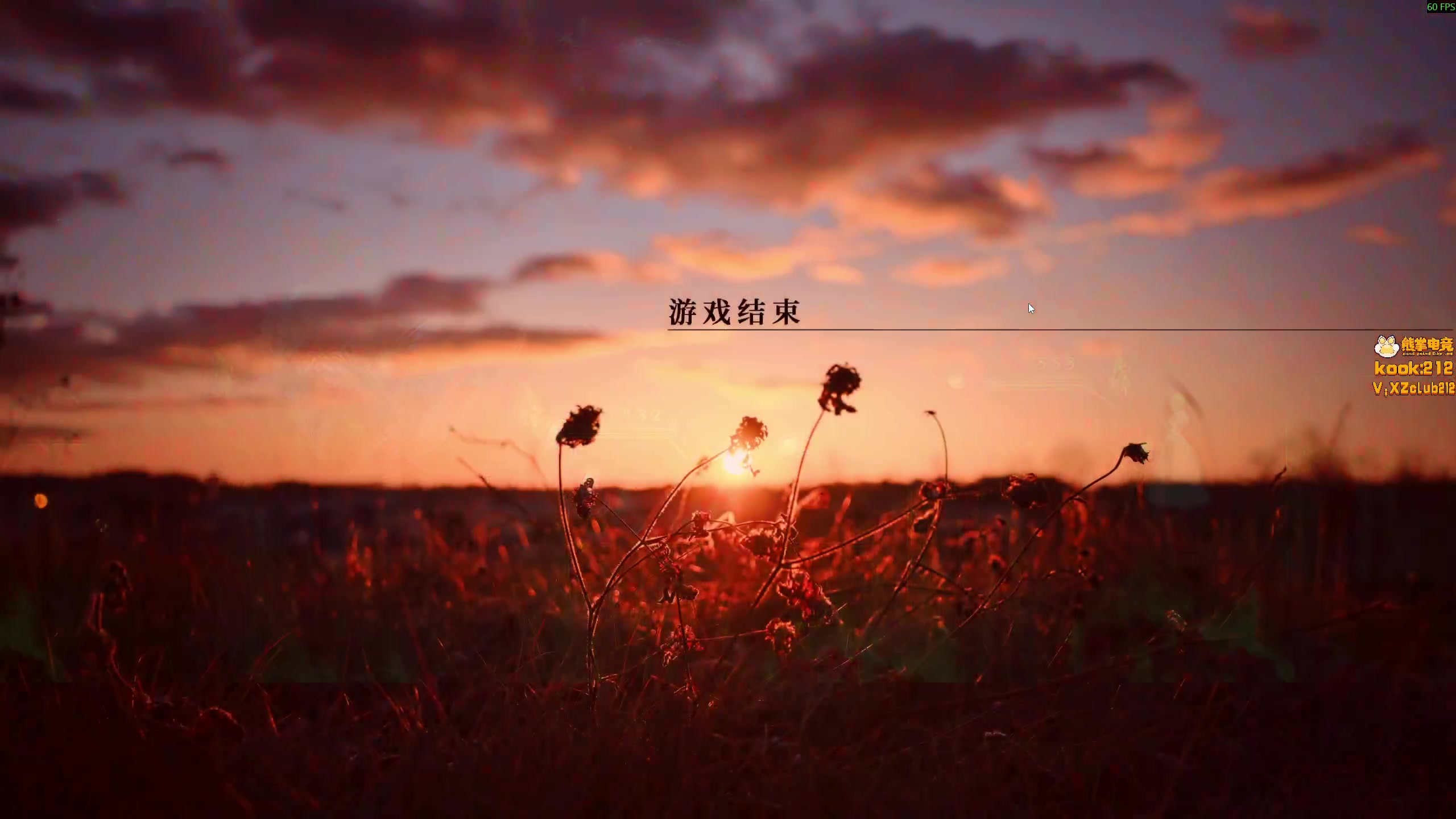 【2025-11-08 15点场】小刘_qq：小刘的快乐直播间，