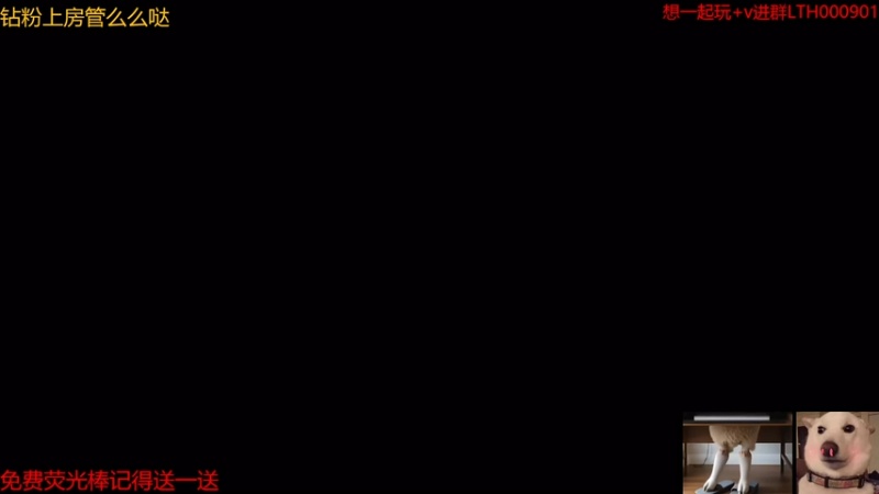 【2025-11-06 02点场】是猫咪吖丶：战地来咯 么么哒