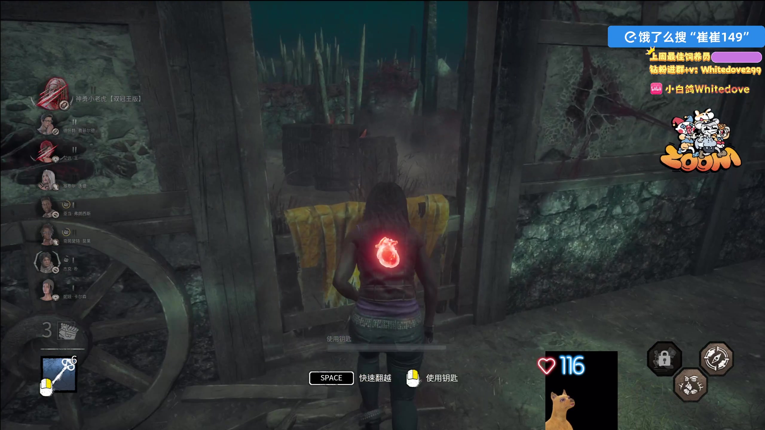 【2025-11-07 21点场】小白鸽WhiteDove：【ZOOM电竞】双倍！