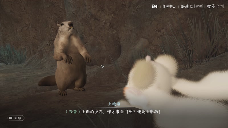 【2025-11-02 16点场】安静初夏：《逆水寒手游》关山新赛季回来看看，走起~