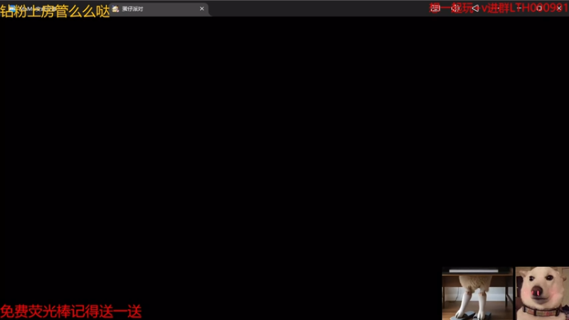 【2025-11-05 23点场】是猫咪吖丶：新游戏来咯 么么哒