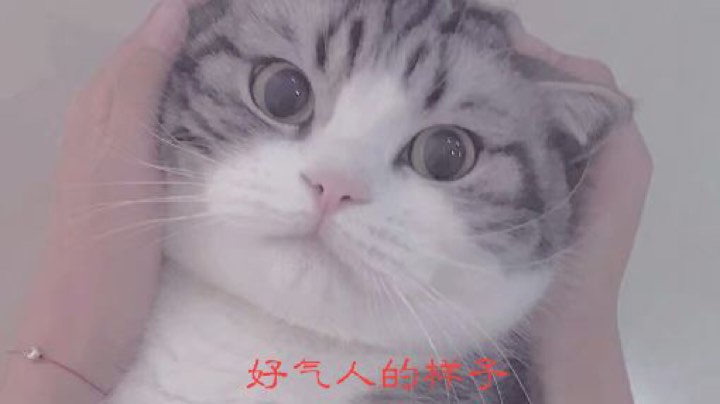 【2025-11-2 14点场】sulingxing:太极小苏上线