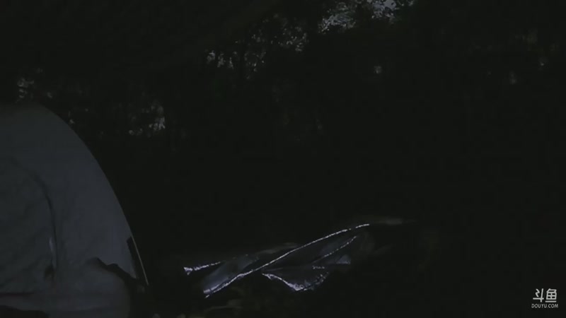 【2025-11-09 06点场】主播阿郎：荒野求生Day5-剩余2人