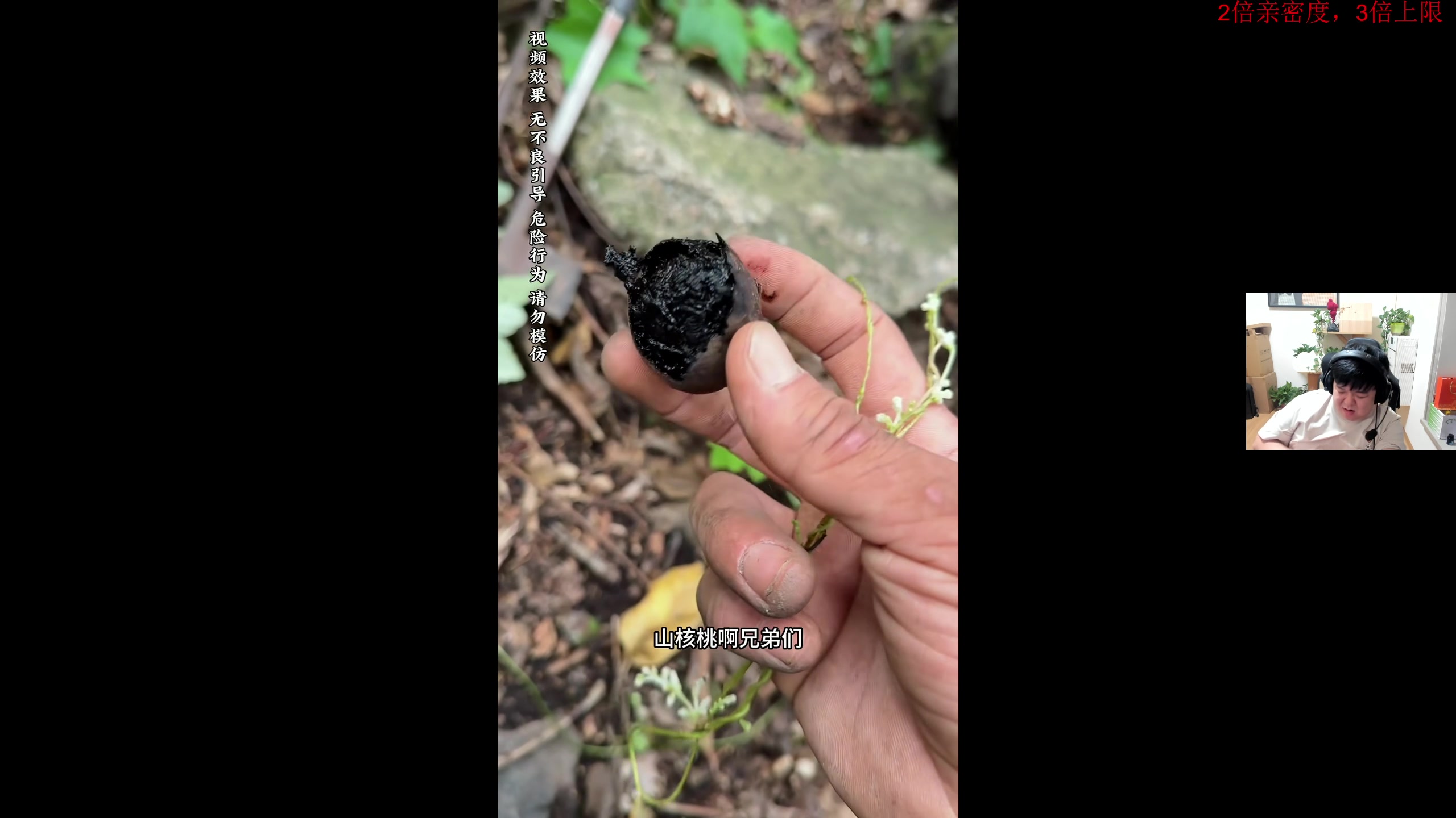 【2025-11-09 00点场】叫我老陈就好了：大狗婚礼，11回。