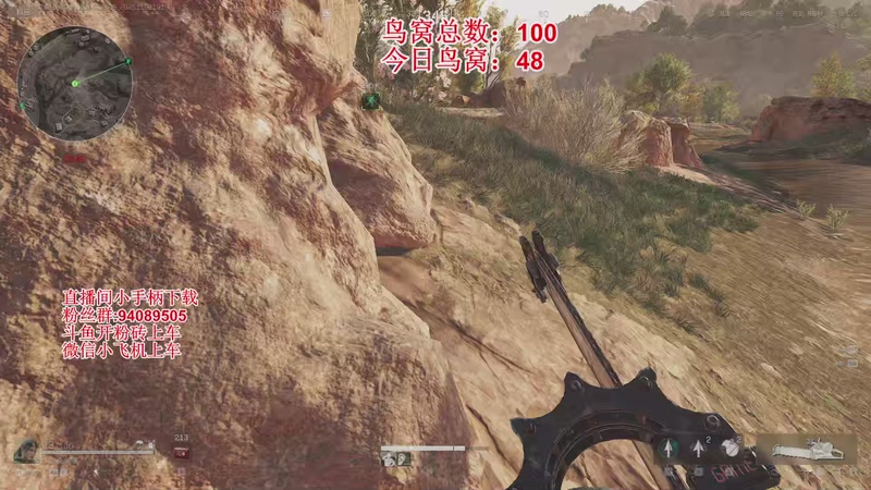 【2025-11-09 19点场】兔紫寒：没钱了，只能长工摸鸟窝了