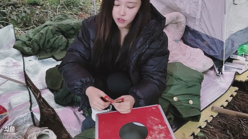 【2025-11-09 17点场】主播阿郎：荒野求生Day5-剩余2人