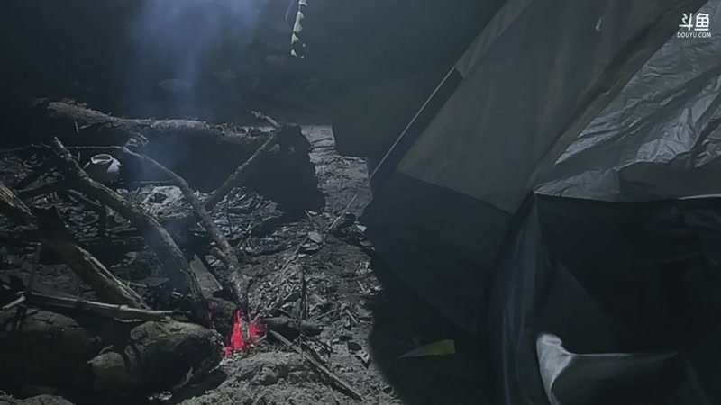 【2025-11-09 02点场】主播阿郎：荒野求生Day5-剩余2人