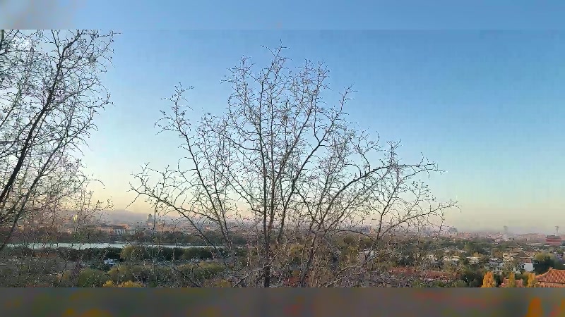 【2025-11-09 16点场】亚瑟王丶Z：开会户外逛北京景山公园