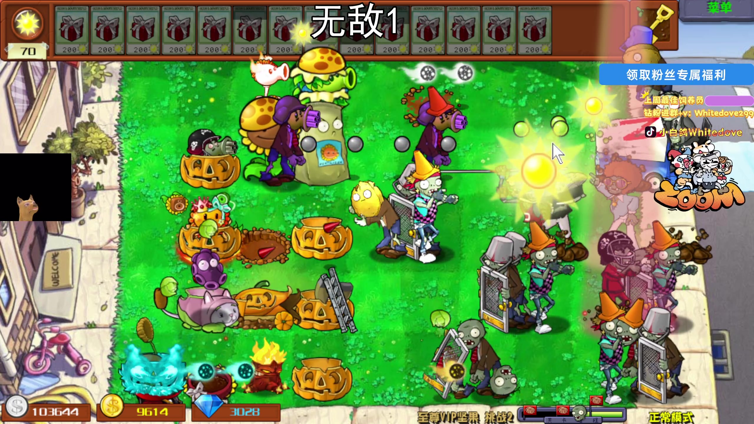 【2025-11-09 18点场】小白鸽WhiteDove：【ZOOM电竞】努力直播供爷爷上学 双倍