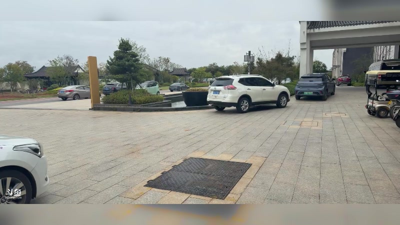 【2025-11-09 完整版】阿二Ayer：零基础线下训练营 548061