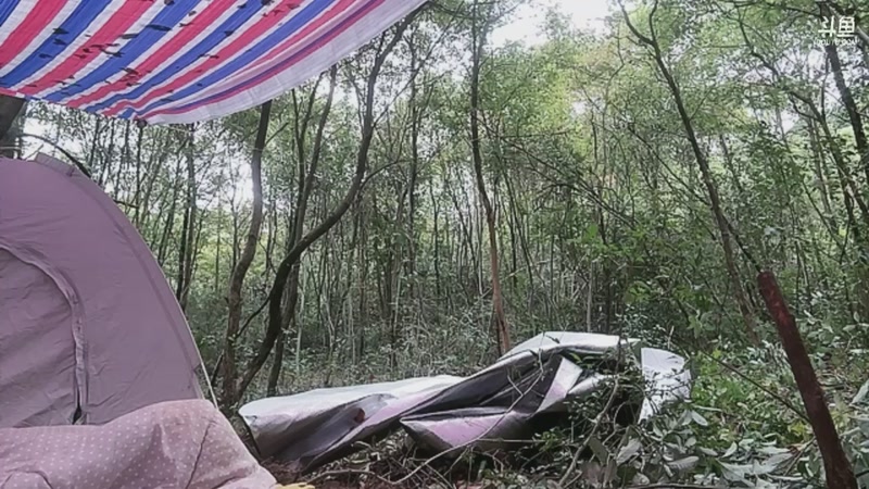 【2025-11-09 08点场】主播阿郎：荒野求生Day5-剩余2人