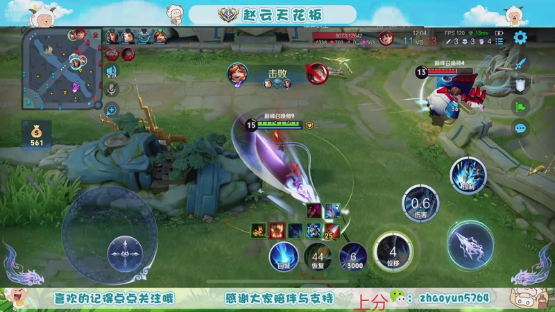 【2025-11-09 13点场】赵猥琐丶赵云导师：祖师级赵云打法教学