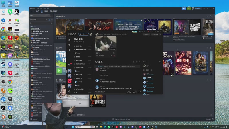【2025-11-08 17点场】SAYA丶J：勇气与力量之战