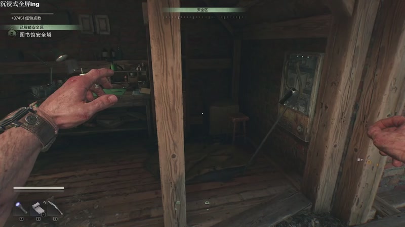 【2025-11-10 20点场】帅帅的汪团：消逝的光芒困兽 4874542