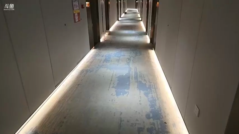 【2025-11-10 19点场】王大谋119：《奶团》伐木团播第一天