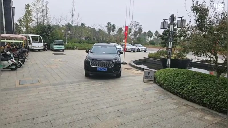 【2025-11-10 11点场】王大谋119：《奶团》伐木团播第一天