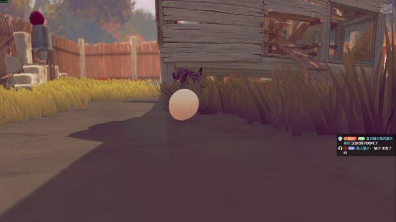 【2025-11-08 17点场】二米八阿林：林：啵啵播播