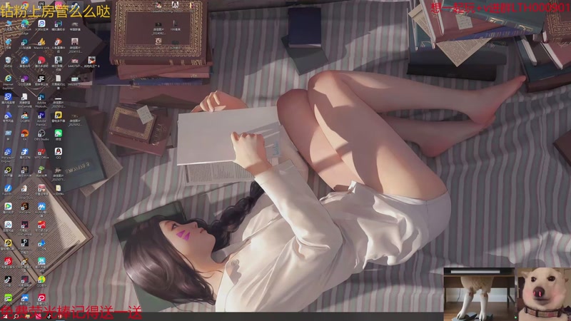 【2025-11-09 23点场】是猫咪吖丶：战地来咯 么么哒