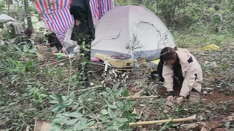 【2025-11-10 10点场】主播阿郎：荒野求生Day7-决赛圈！