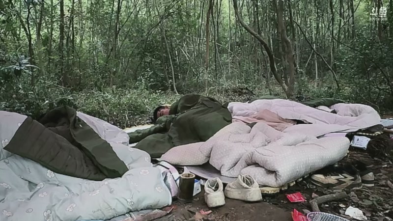 【2025-11-11 06点场】主播阿郎：荒野求生Day8