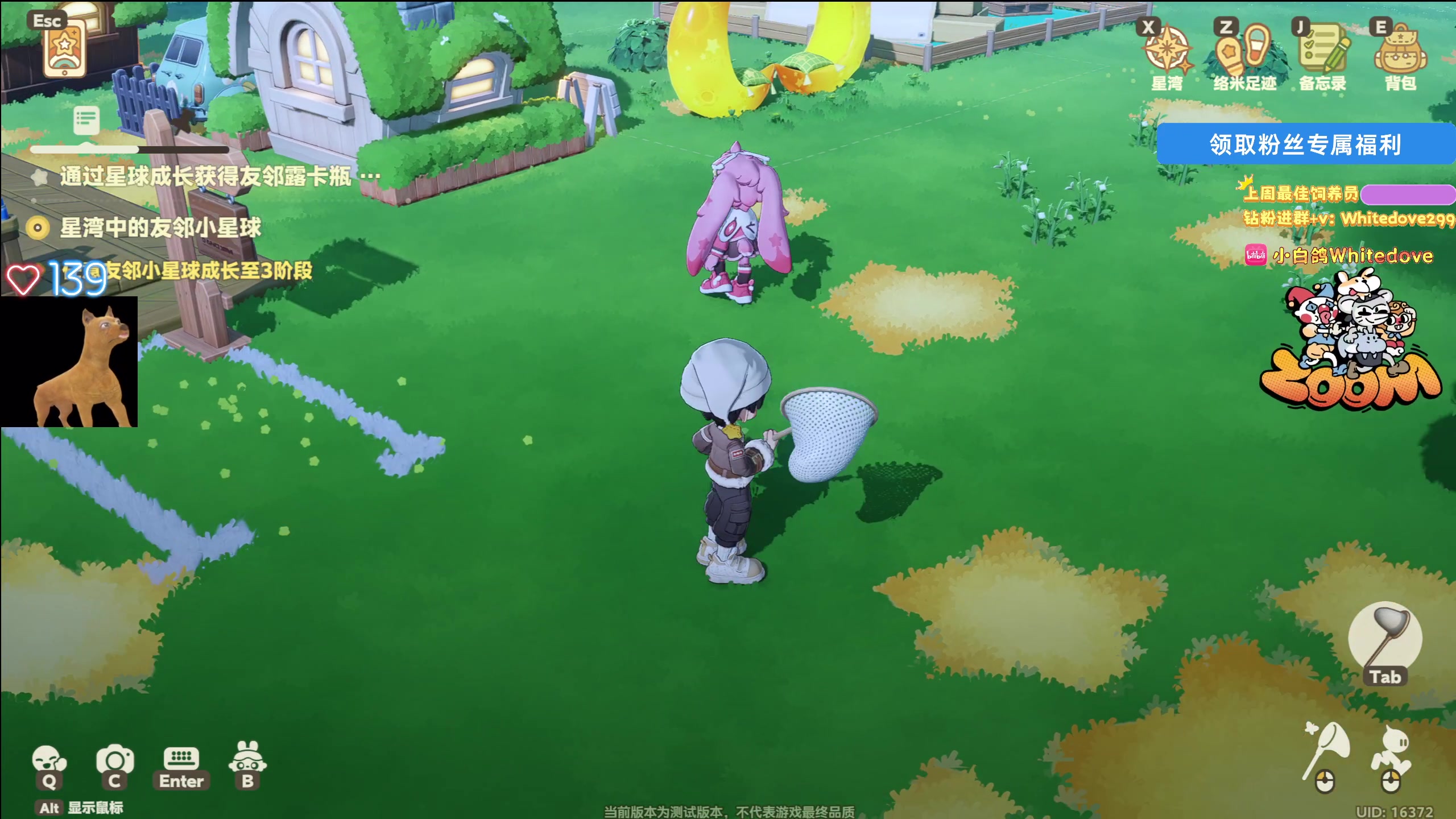 【2025-11-10 22点场】小白鸽WhiteDove：【ZOOM电竞】星布谷地内测