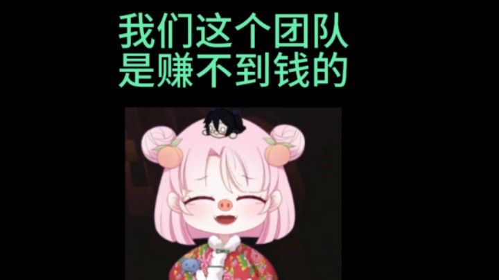 我们这个团队是赚不到钱的