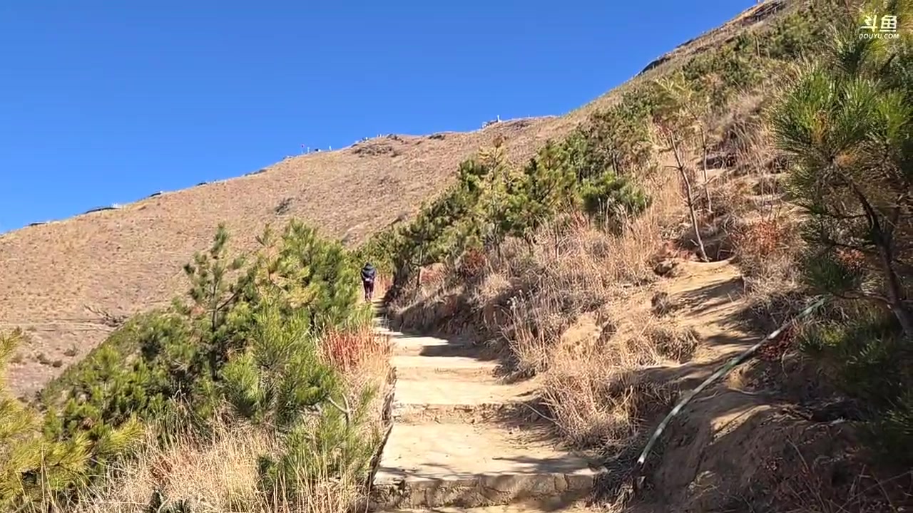 【2025-11-11 14点场】叶子户外：西藏拉萨day2