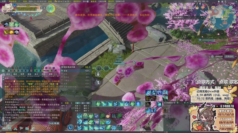 【2025-11-10 16点场】君且莫惜一：【努力小狍】散排一下