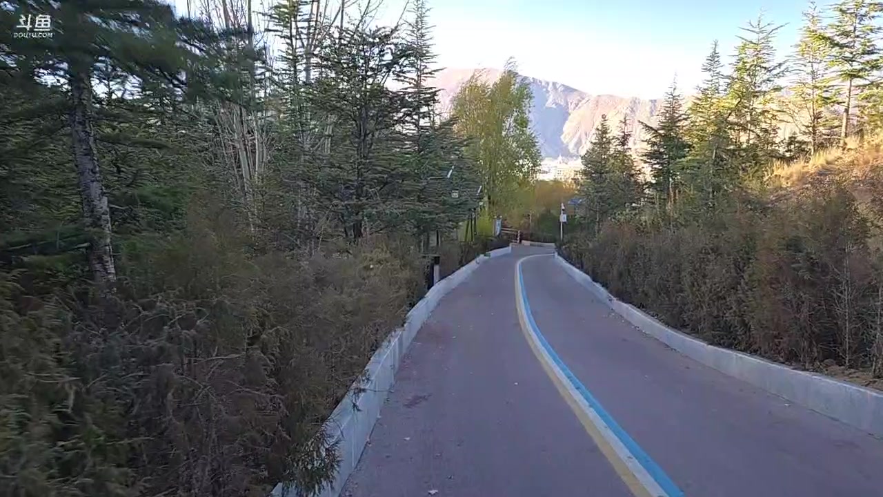 【2025-11-11 17点场】叶子户外：西藏拉萨day2