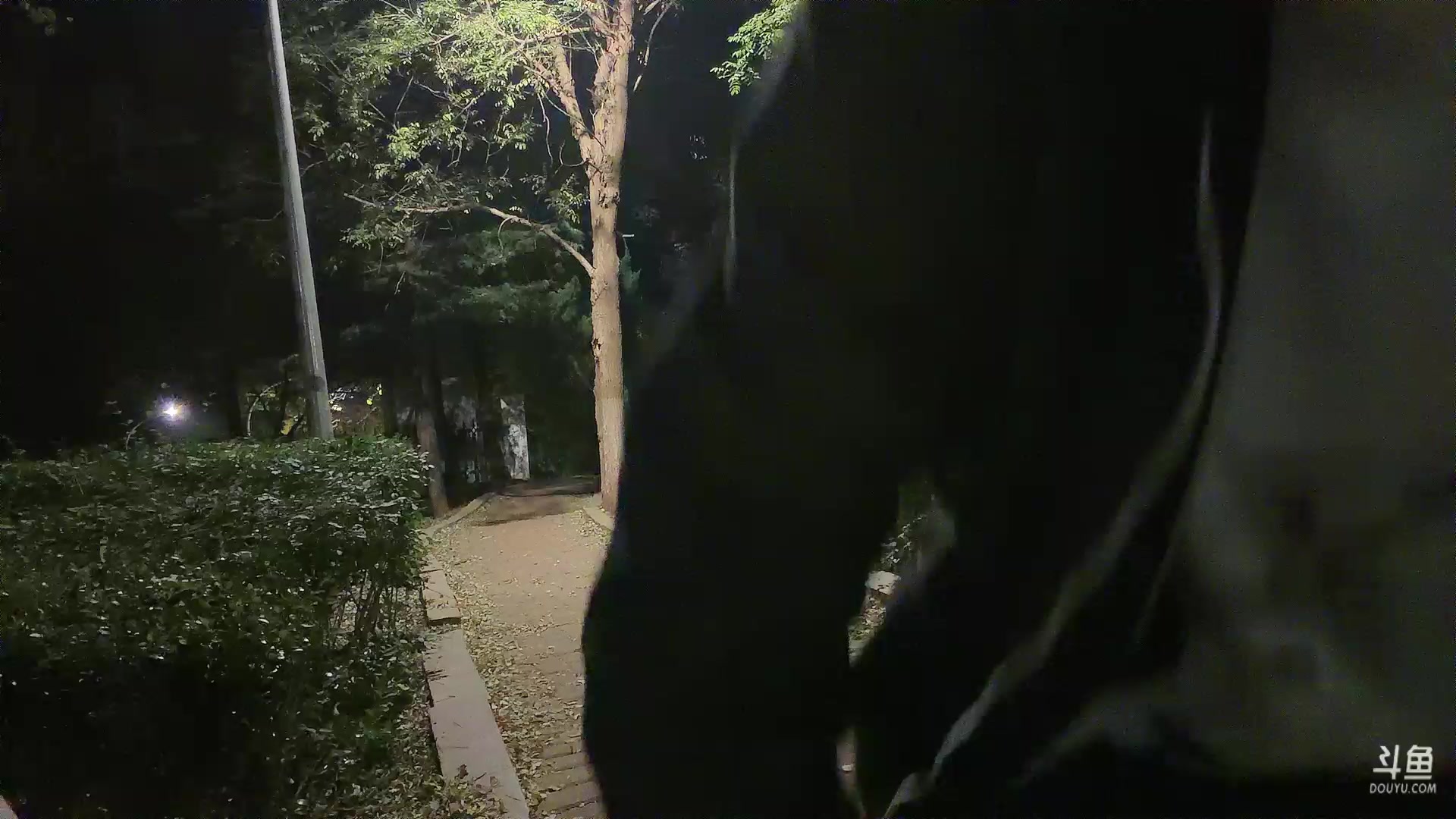 【2025-11-11 01点场】电棍：电棍：途经大连 来点海鲜