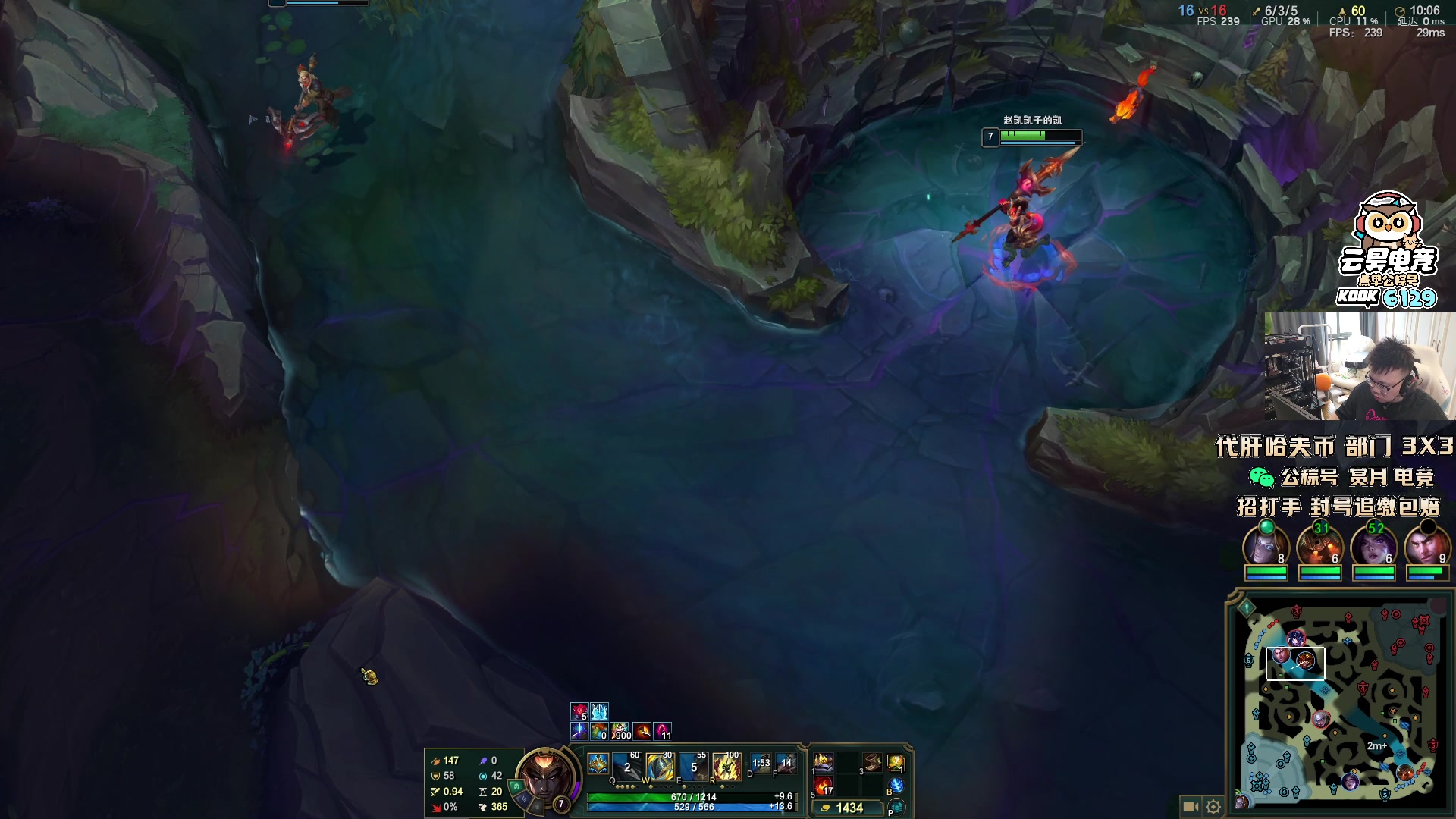 【2025-11-11 09点场】pigff：【PIGFF】猪神赏金赛