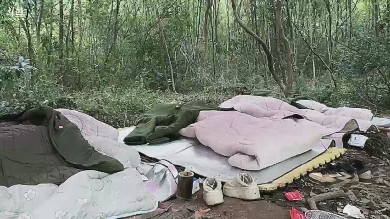 【2025-11-11 08点场】主播阿郎：荒野求生Day8