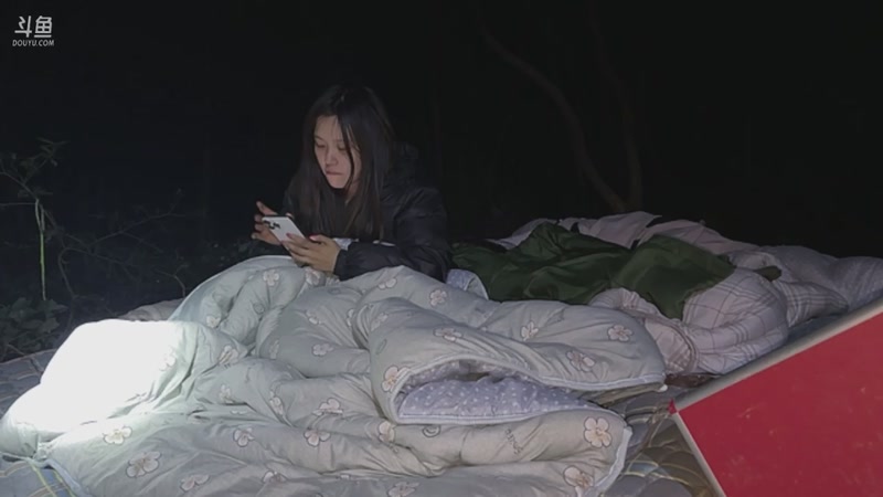 【2025-11-11 23点场】主播阿郎：荒野求生Day8-自力更生