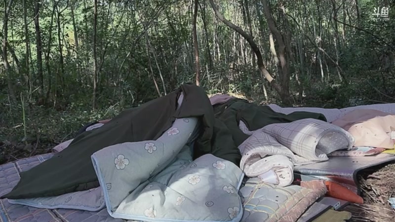 【2025-11-12 09点场】主播阿郎：荒野求生Day8-自力更生