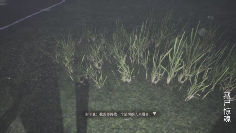 【2025-11-12 14点场】琼斯小卫：【首发】台湾最新恐怖大作首播