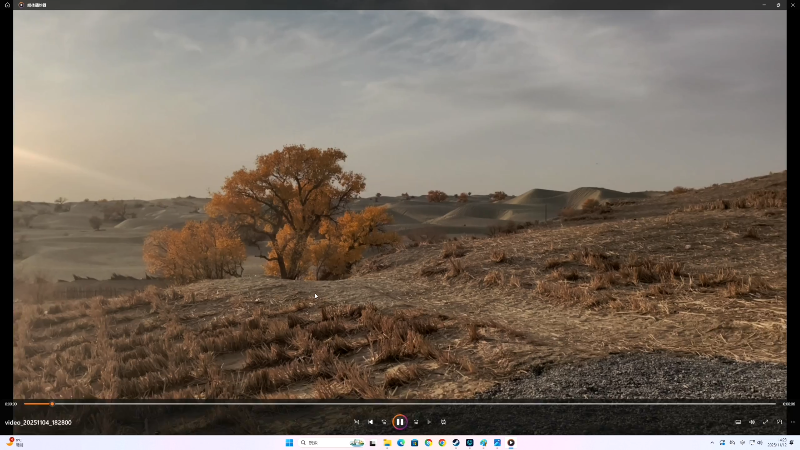 【主机其他游戏】寅子的精彩时刻 20251112 14点场