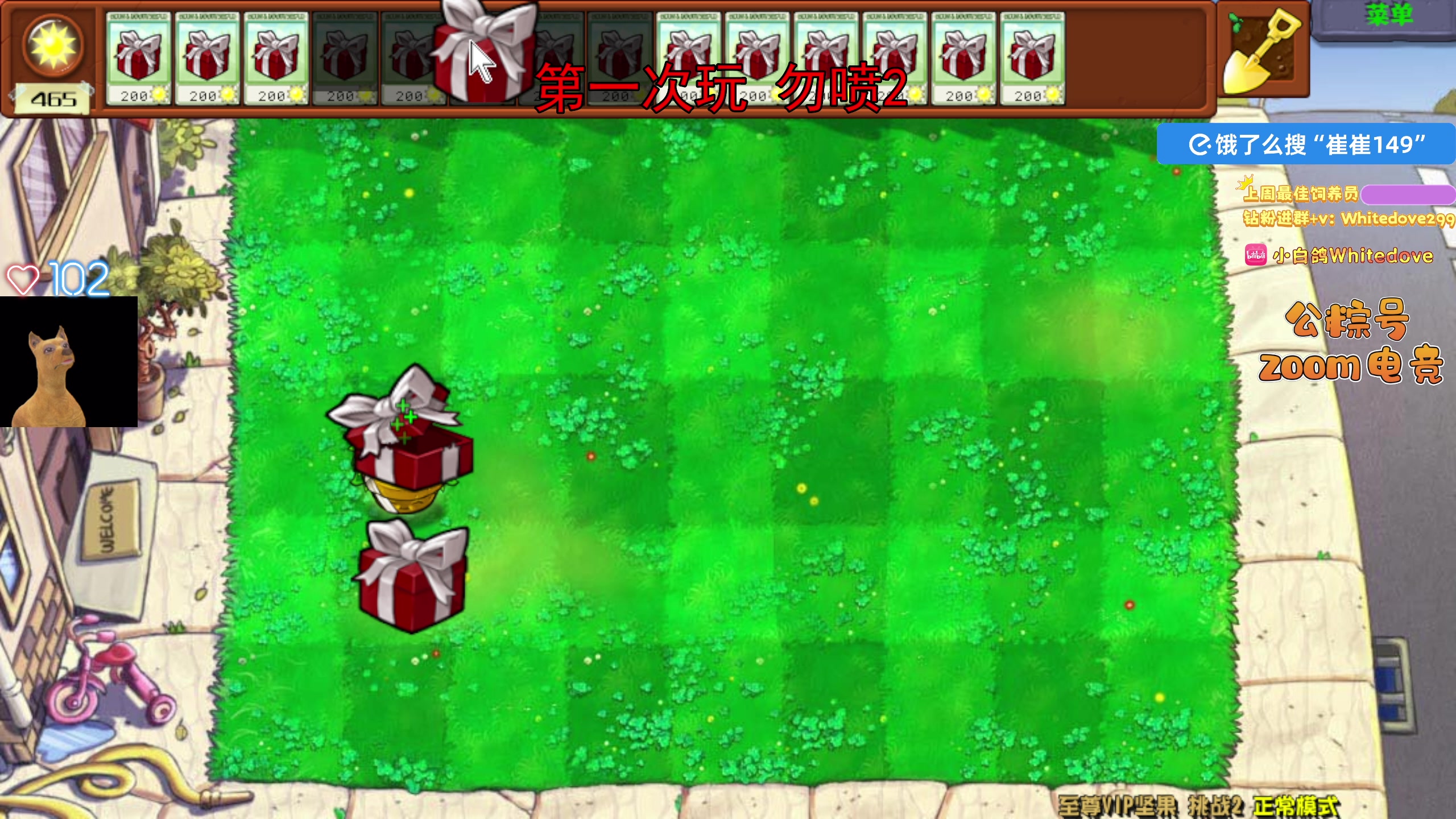 【2025-11-12 17点场】小白鸽WhiteDove：【ZOOM电竞】来这里钓鱼就好！