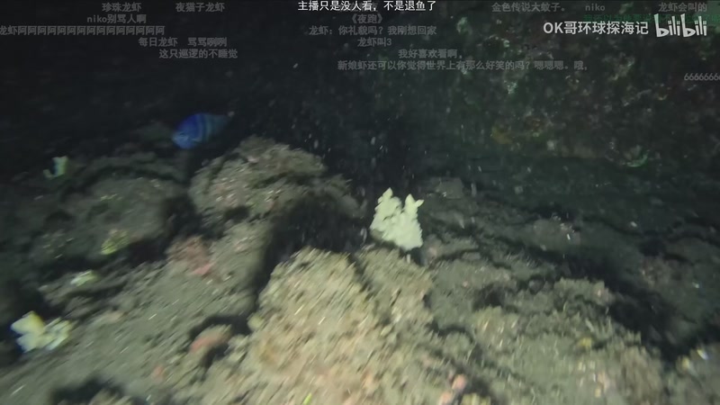 【2025-11-12 01点场】一番少侠29：SEEtv walk 看到哪算哪