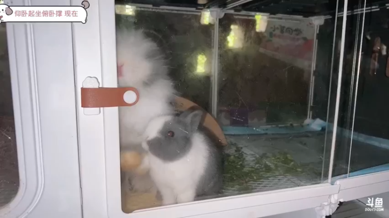 【2025-11-12 13点场】757户外：【非常互娱】757女团S7 娱乐季~